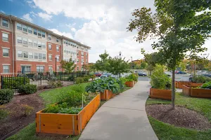 Harry and Jeanette Weinberg Court Apartments (Seniors 62+) image