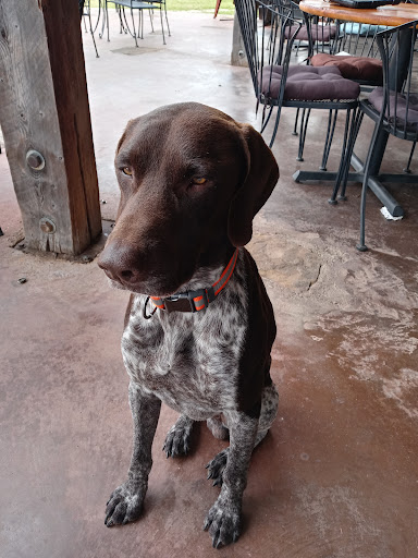 Winery «Tara Vineyard and Winery», reviews and photos, 8603 Co Rd 3914, Athens, TX 75752, USA