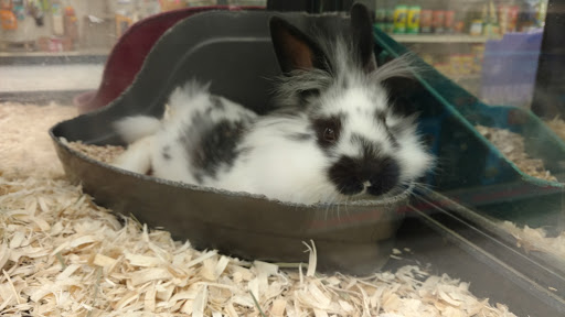Pet Supply Store «Premium Pet Supply», reviews and photos, 1500 E Empire St, Bloomington, IL 61701, USA