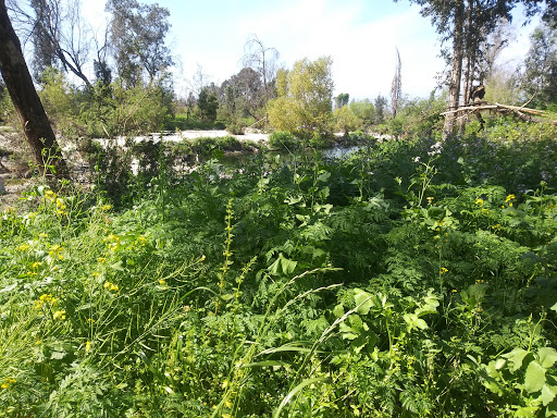 Tourist Attraction «Legg Lake», reviews and photos, 750 S. Santa Anita Avenue, South El Monte, CA 91733, USA