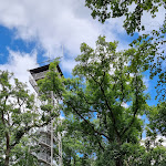 Photo n°4 de l'avis de Eric.r fait le 10/07/2022 à 17:10 sur le  Meisterturm à Hofheim