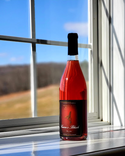 Winery «Spyglass Ridge Winery», reviews and photos, 105 Carroll Rd, Sunbury, PA 17801, USA