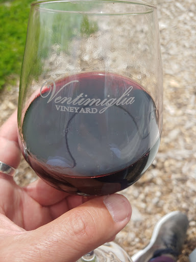 Vineyard «Ventimiglia Vineyard», reviews and photos, 101 Layton Rd, Wantage, NJ 07461, USA