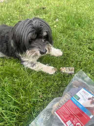 Anifit Artgerechtes Futter für Hunde und Katzen unter Isenbüttel, 