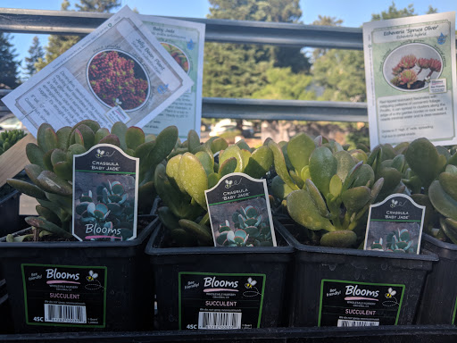 Hardware Store «Sebastopol Hardware Ctr», reviews and photos, 660 Gravenstein Hwy N, Sebastopol, CA 95472, USA