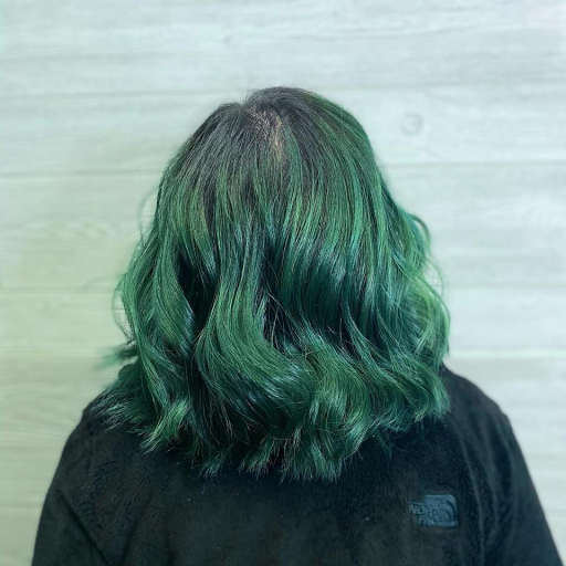 Beauty Salon «Tortoise & the Hair Salon», reviews and photos, 6681 Rochester Rd, Troy, MI 48085, USA