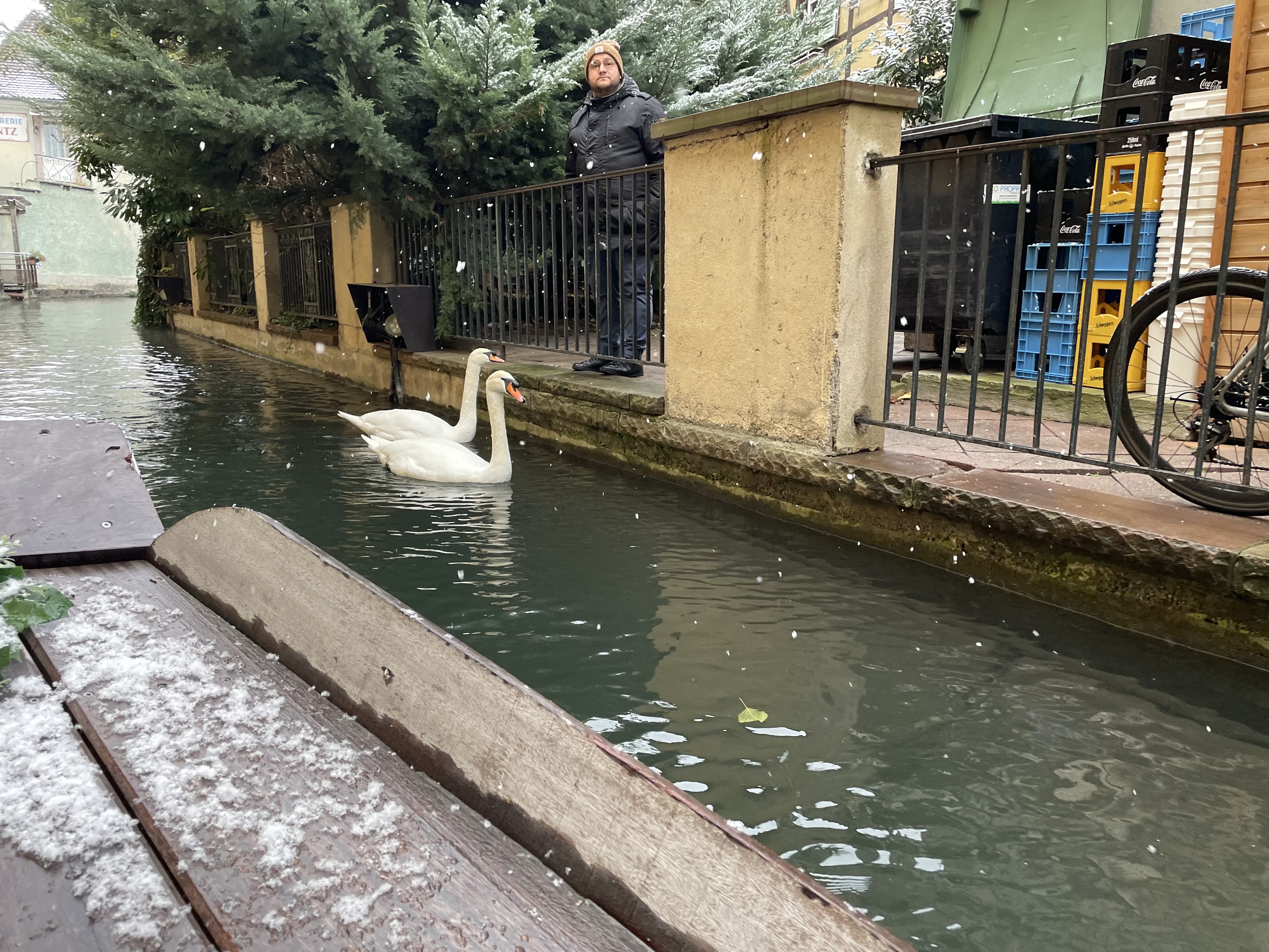Photo n° 3 de l'avis de chrystelle.i fait le 02/12/2023 à 13:53