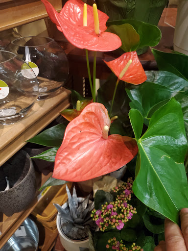 Grocery Store «Vons», reviews and photos, 26518 Bouquet Canyon Rd, Saugus, CA 91350, USA