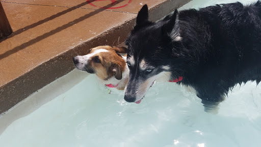 Water Park «Hawaiian Falls Garland», reviews and photos, 4550 N Garland Ave, Garland, TX 75040, USA