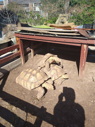 Pet Store «Fish-N-Pets Unlimited», reviews and photos, 11710 Bissonnet St, Houston, TX 77099, USA