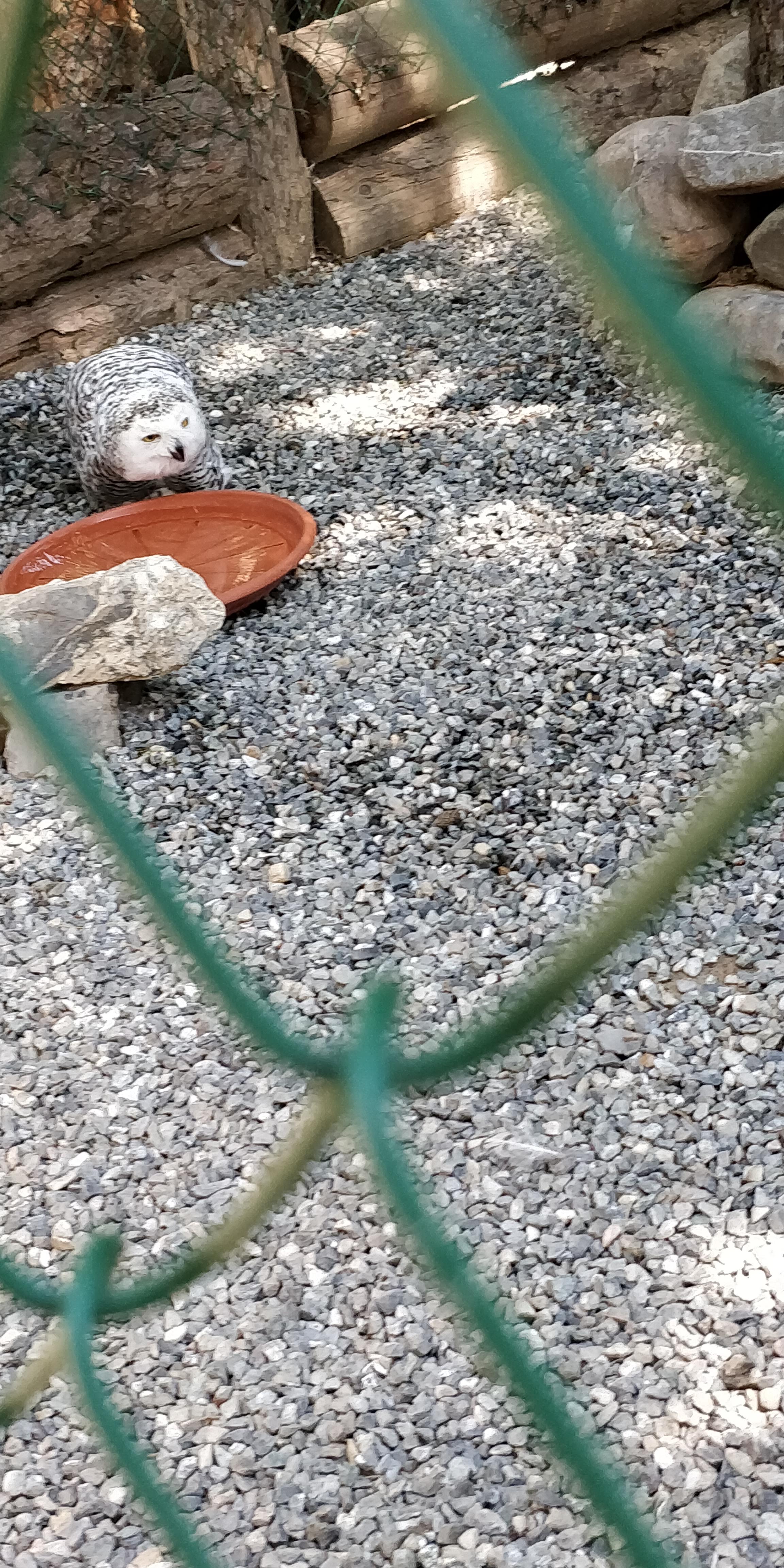 Photo n° 9 de l'avis de Sylvain.e fait le 02/08/2018 à 06:25