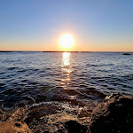 Photo n°6 de l'avis de Tracybell.e fait le 24/07/2022 à 16:58 sur le  La Scogliera à Forio