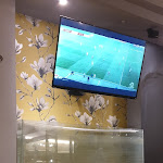 Photo n°4 de l'avis de MASSY. fait le 26/05/2018 à 15:41 sur le  Ciak Brasserie Pizzeria Ristorante à Porto Sant'Elpidio