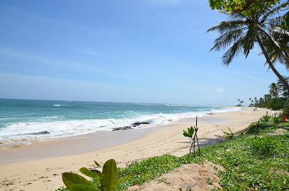 SRIVISIO, Ihr Online-Reisebüro für Sri Lanka