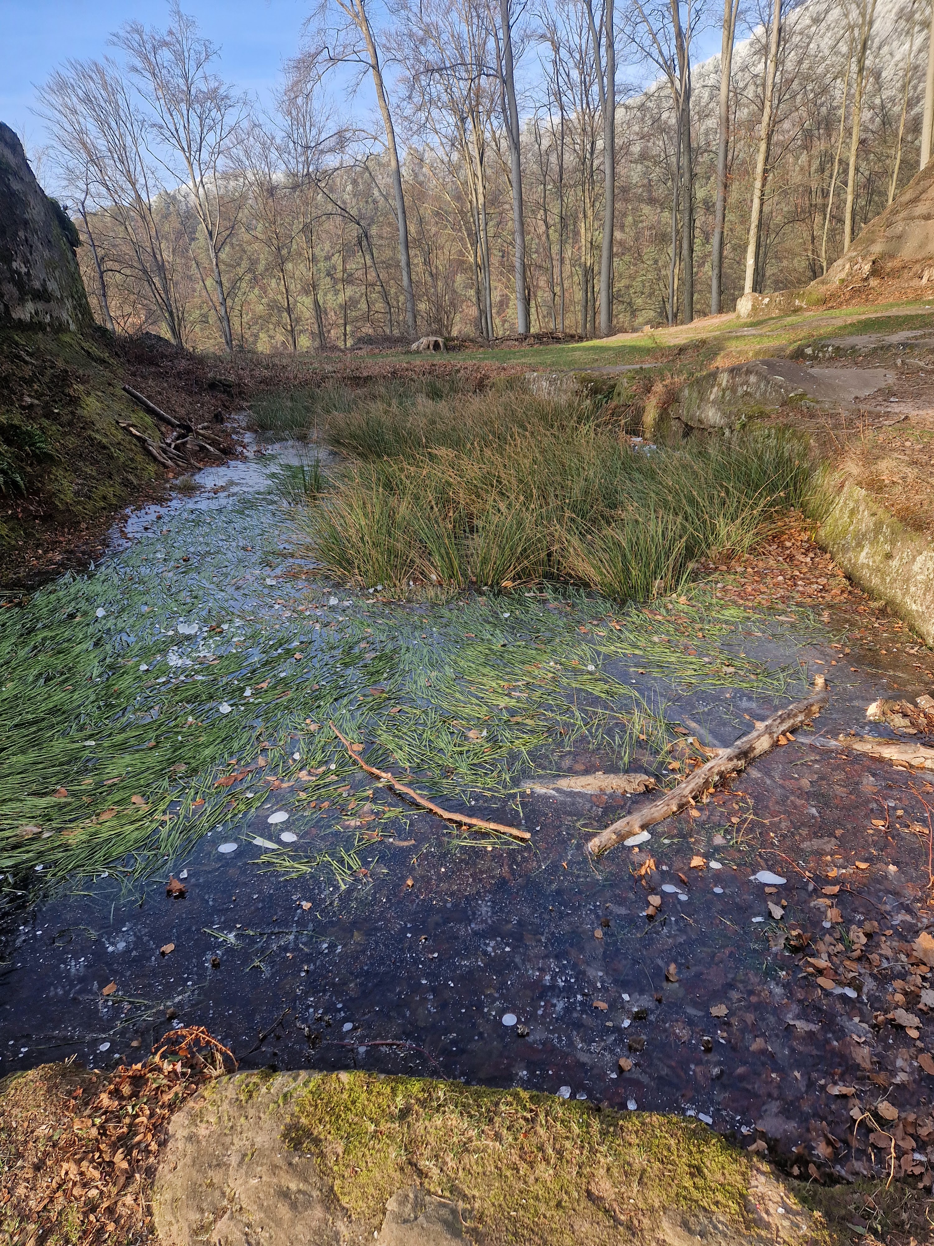 Photo n° 32 de l'avis de Beno. fait le 14/01/2024 à 20:33