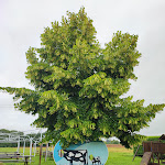 Photo n°1 de l'avis de Alessandra.i fait le 14/06/2023 à 06:36 sur le  Agrisapori à Pralormo