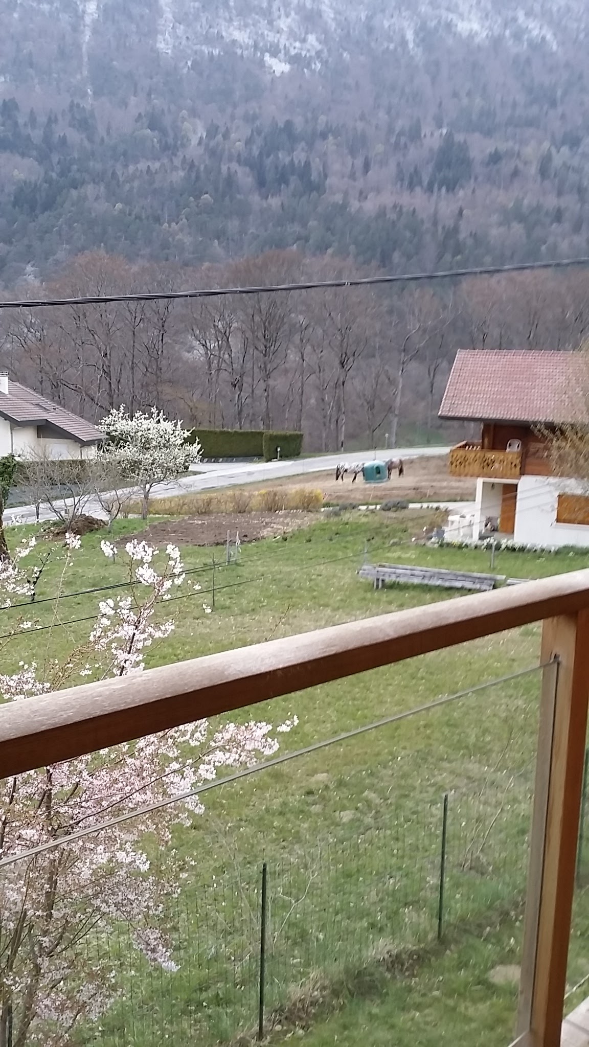 Photo n° 10 de l'avis de ismael.r fait le 22/04/2019 à 22:00