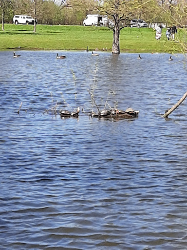 Nature Preserve «Schiller Woods East», reviews and photos, W Irving Park Rd, Chicago, IL 60634, USA