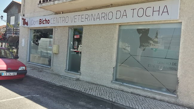 Dom Bicho Centro Veterinário da Tocha