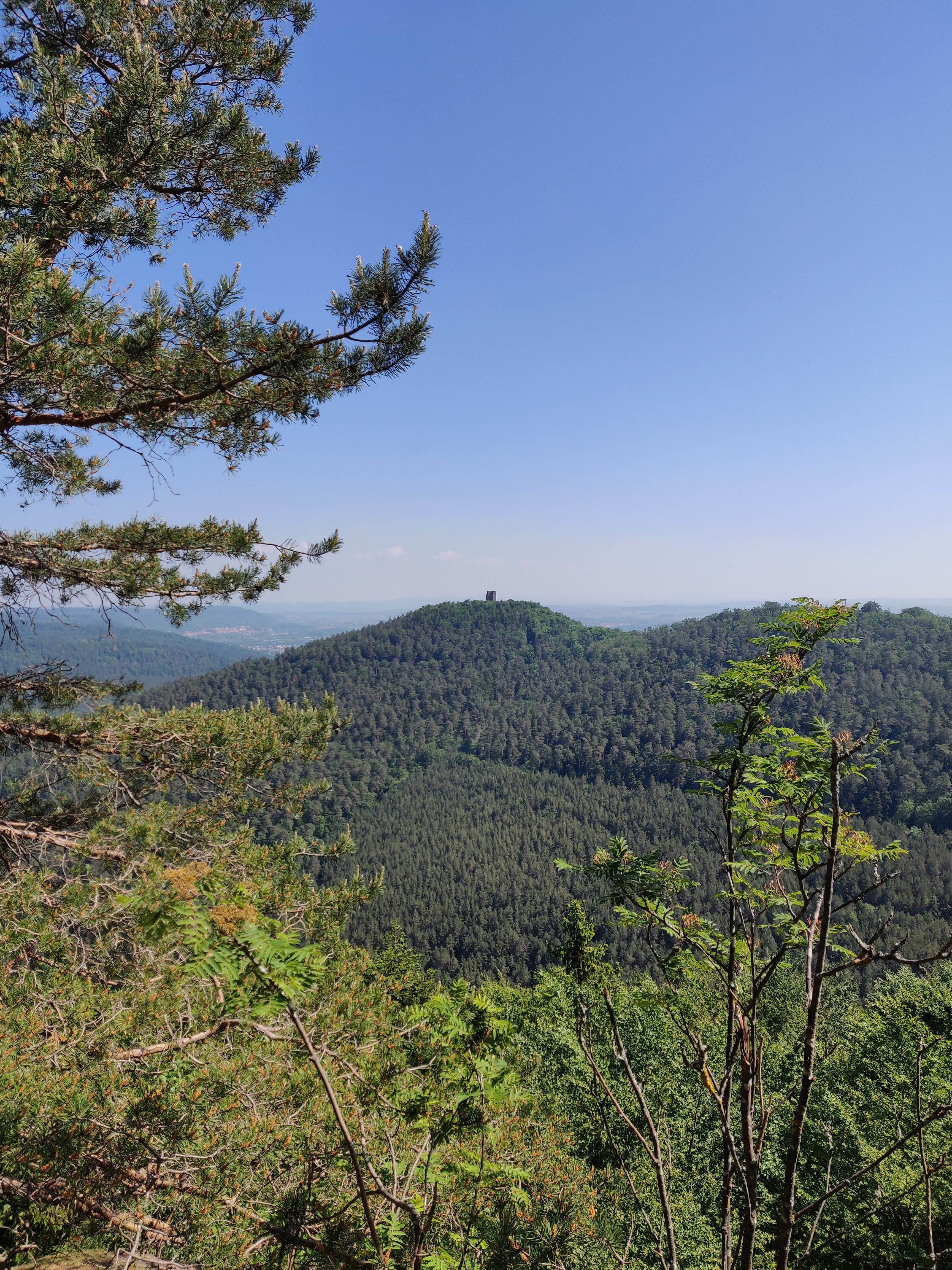 Photo n° 4 de l'avis de Franck.i fait le 21/05/2020 à 17:45