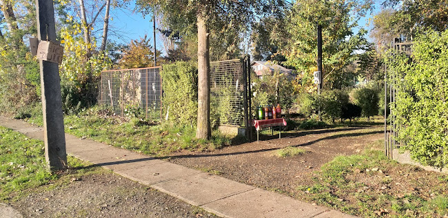 Chicha dulce - Centro comercial