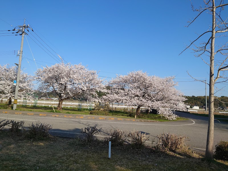 白虎山公園