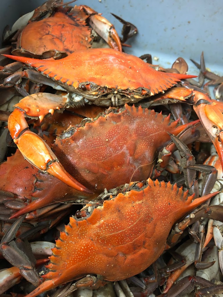 Martin Brothers Seafood Co 70094