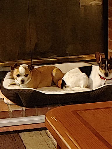 Pet Supply Store «Care-A-Lot Pet Supply Indian River», reviews and photos, 5457 Indian River Rd, Virginia Beach, VA 23464, USA