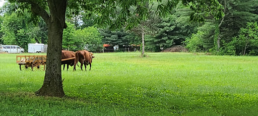 National Park «George Rogers Clark National Historical Park», reviews and photos, 401 S 2nd St, Vincennes, IN 47591, USA