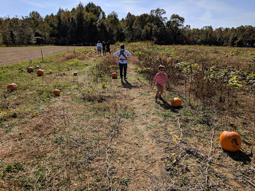 Tourist Attraction «Middleton Farm», reviews and photos, 13250 Cedar Hill Pl, Waldorf, MD 20601, USA