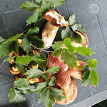 Photo n°15 de l'avis de Giovanni.e fait le 05/02/2020 à 13:16 sur le  Trattoria Cavanna à Ferriere