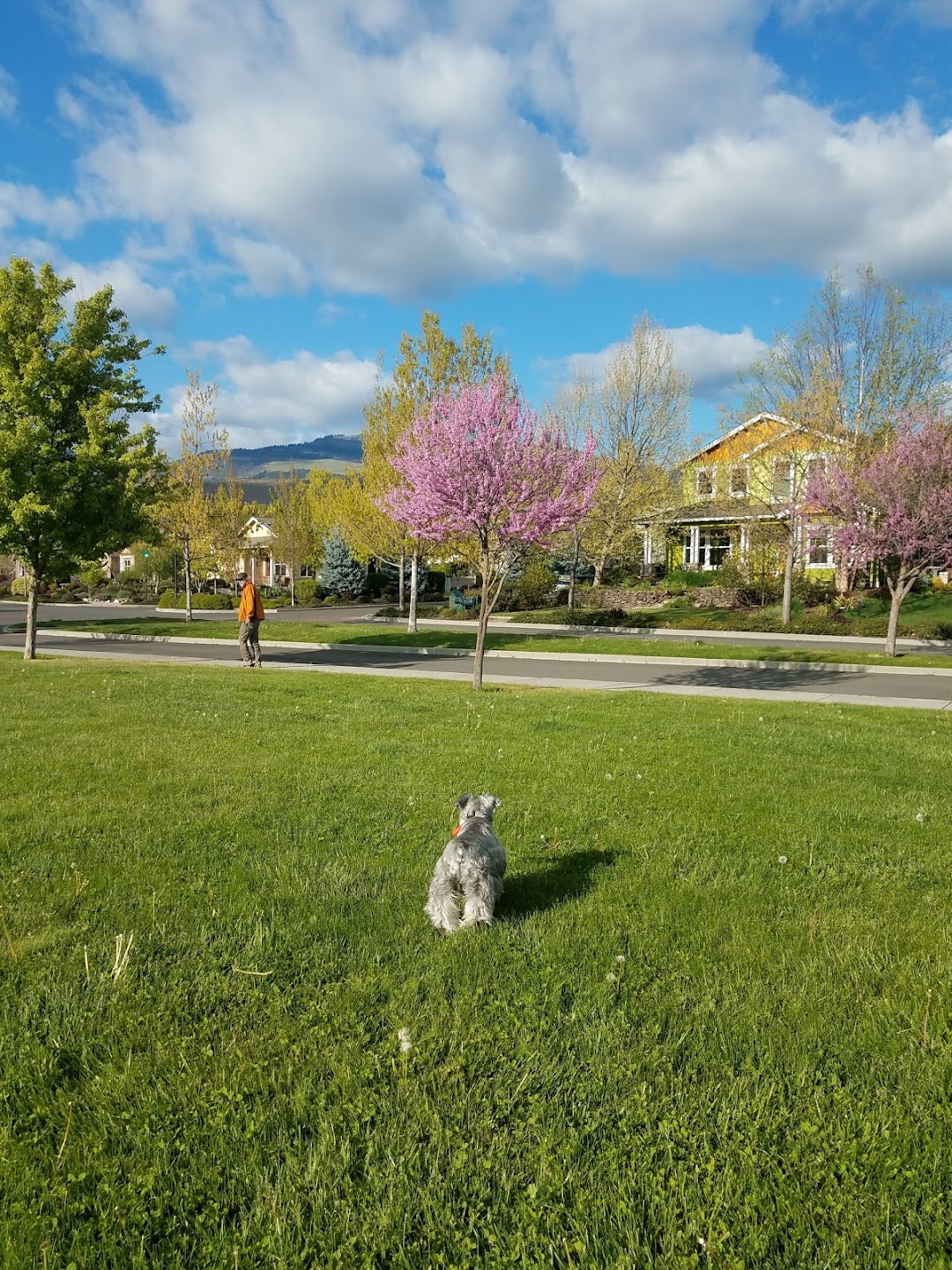 Riverwalk Park