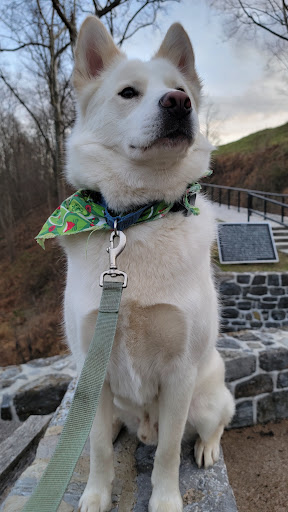 National Park «Antietam National Cemetery», reviews and photos, 302 E Main St, Sharpsburg, MD 21782, USA