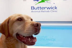 Butterwick Animal Rehab Clinic image