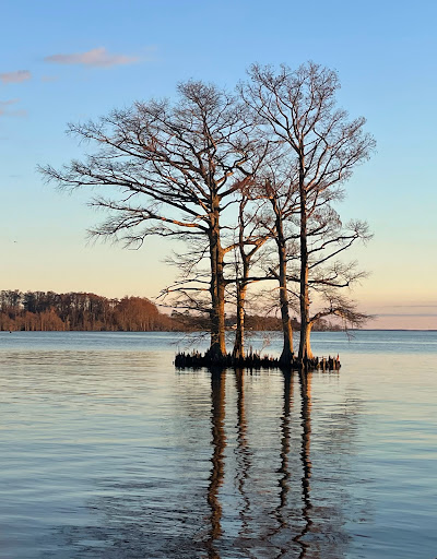 Explore metallica tattoo ideas, creative tattoo ideas in Elizabeth City, available at Julius Star Tattoo Gallery