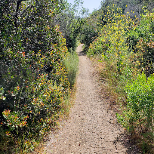 Buck Gully Trailhead