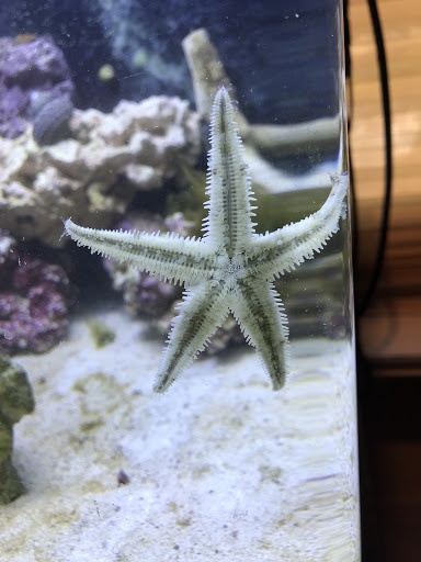 Pet Supply Store «Exotic Aquatic», reviews and photos, 275 E Oakland Park Blvd, Fort Lauderdale, FL 33334, USA