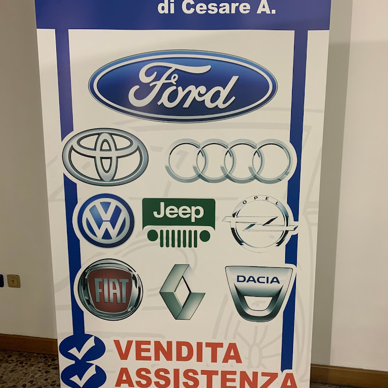 PUNTOFORD di Cesare A. Automobili Concessionaria Officina Meccanica Autorizzata Ford Auto Nuove Usate Semestrali km0