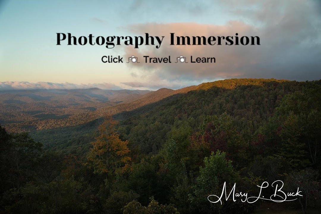 Photography Immersion - Learn Photography