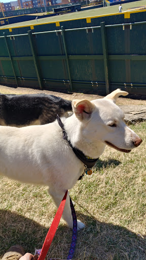 Stadium «Eck Stadium», reviews and photos, 4100 E 21st St N, Wichita, KS 67208, USA