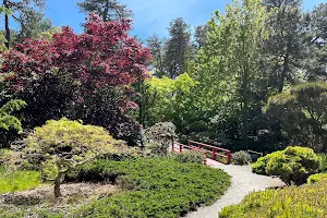 Mytoi Japanese Garden image