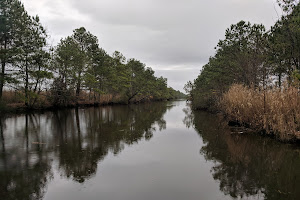 Princess Anne (and Guard Shore) Wildlife Management Area