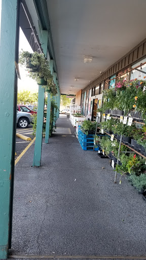 Grocery Store «Grocery Outlet Bargain Market», reviews and photos, 15705 SW 116th Ave, King City, OR 97224, USA
