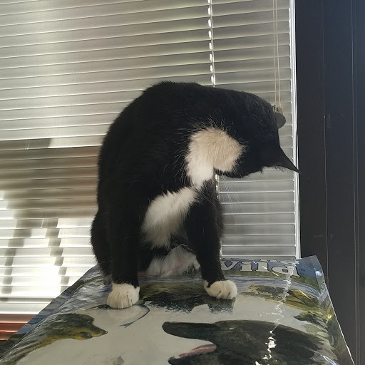 Tack Shop «J & T Country Feeds Inc», reviews and photos, 4835 W 10th St, Greeley, CO 80634, USA