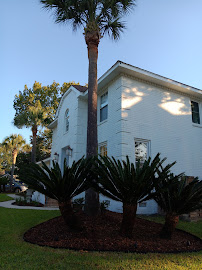 Rainbow Row Dyslexia Services - Photo 3 - Car repair in Charleston, SC, North Charleston