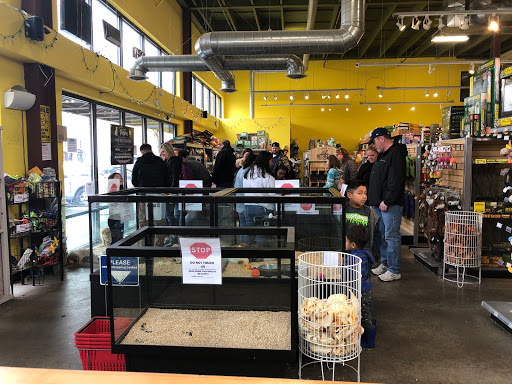 Pet Store «Critter Cabana - Wilsonville», reviews and photos, 8406 SW Main St #200, Wilsonville, OR 97070, USA