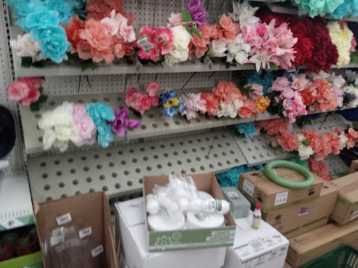 Dollar Store «Dollar Tree», reviews and photos, 8028 Denton Hwy, Watauga, TX 76148, USA