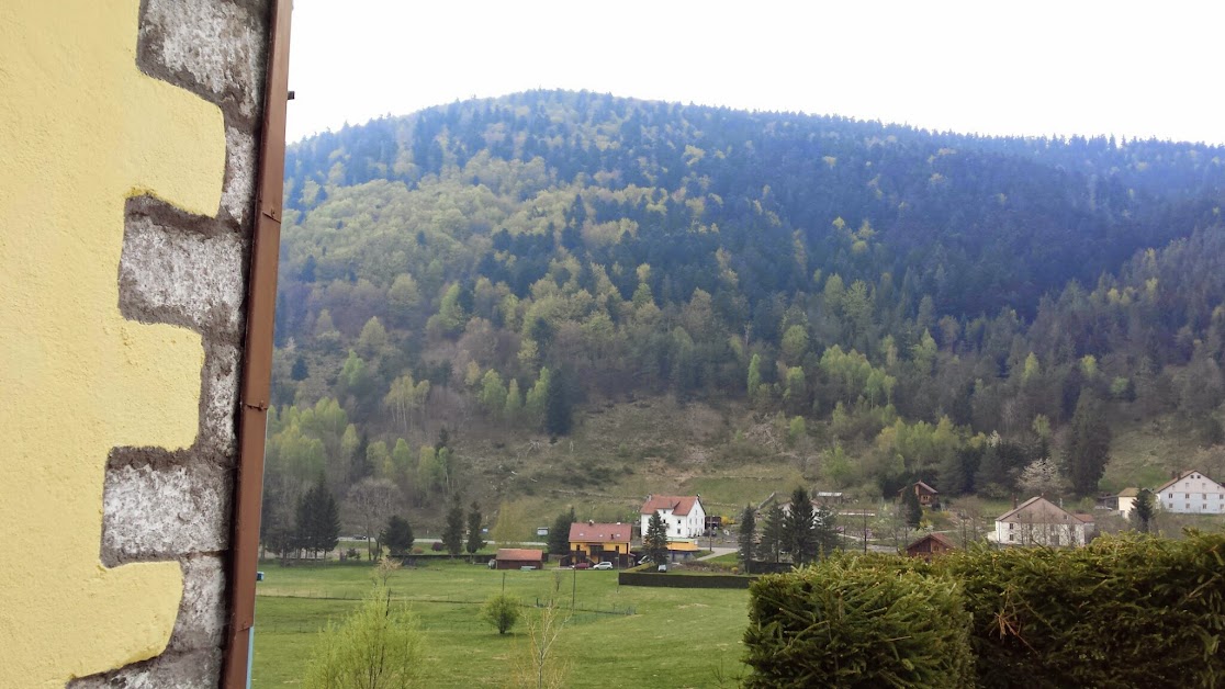 Gite de la ferme des planches à La Bresse (Vosges 88)