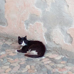 Photo n°12 de l'avis de Valentina.c fait le 20/07/2021 à 21:29 sur le  EXMA - Centro Comunale d'Arte e Cultura à Cagliari