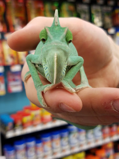 Pet Supply Store «Pet Supplies Plus», reviews and photos, 3200 E Agency St #200, Burlington, IA 52601, USA